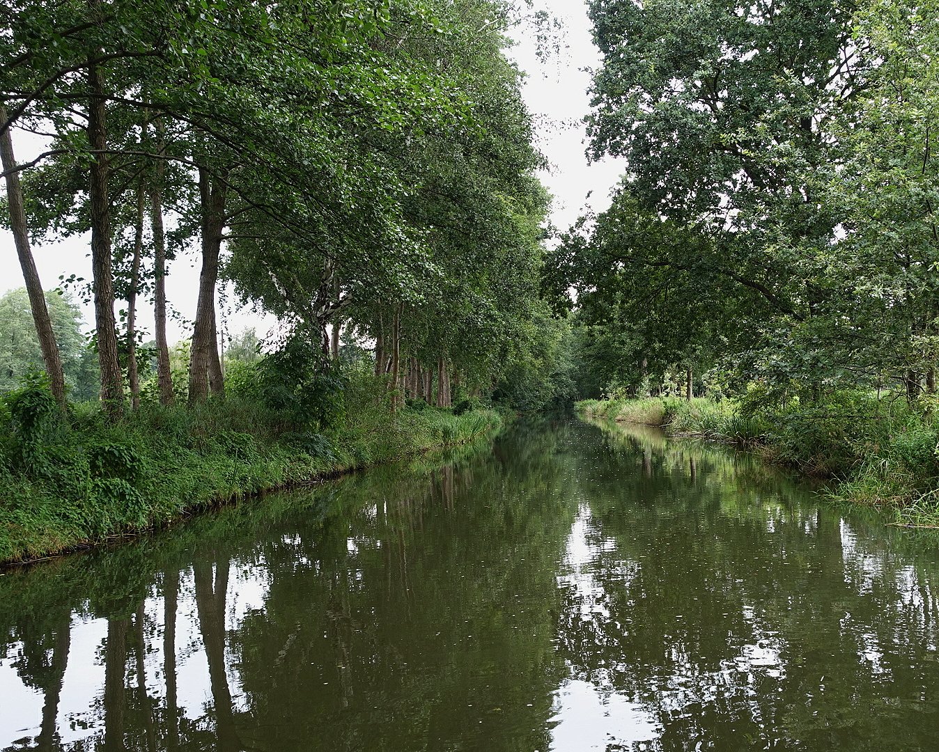 Kanal im Spreewald an einem verregneten Sommertag