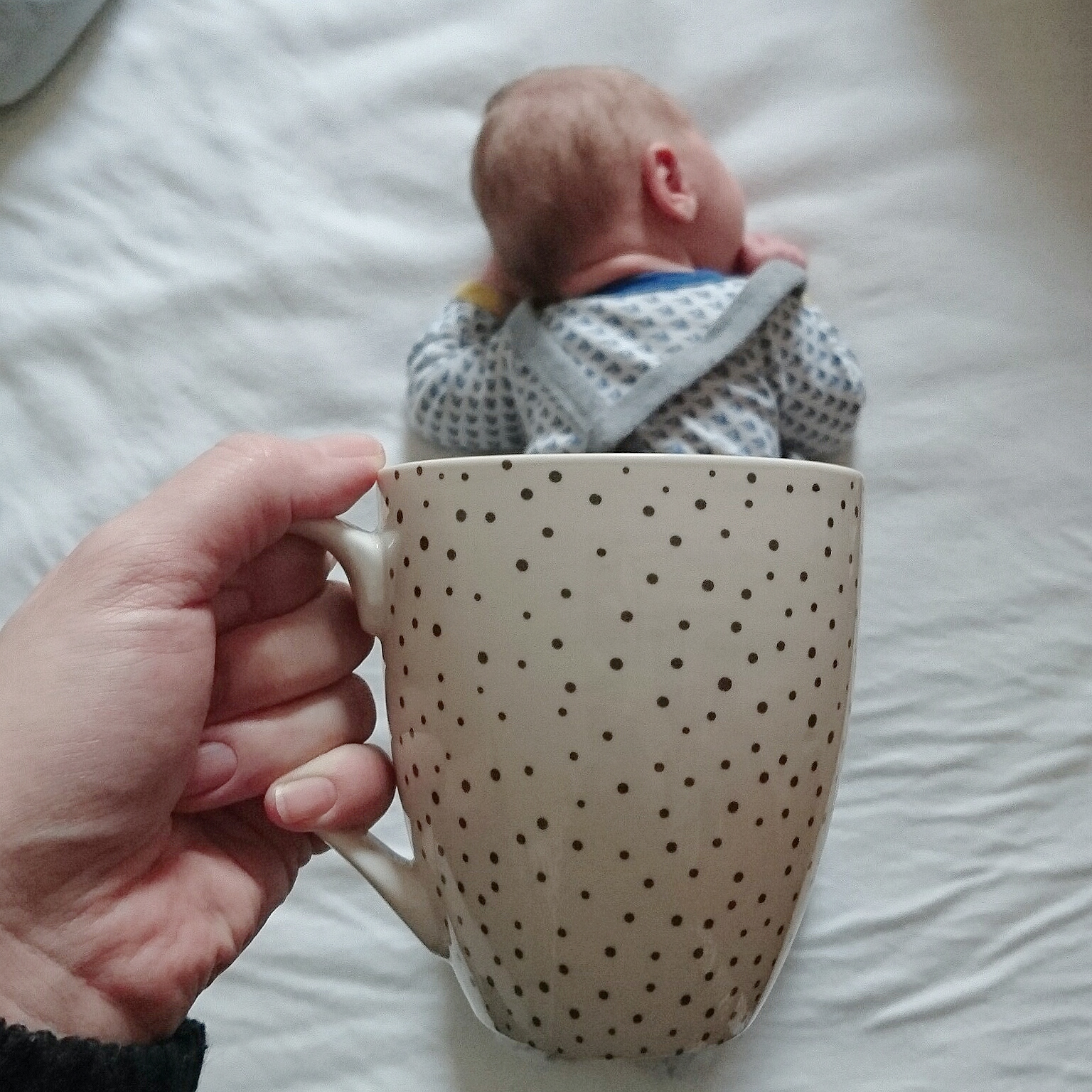 Eine Tasse voll Babyglück